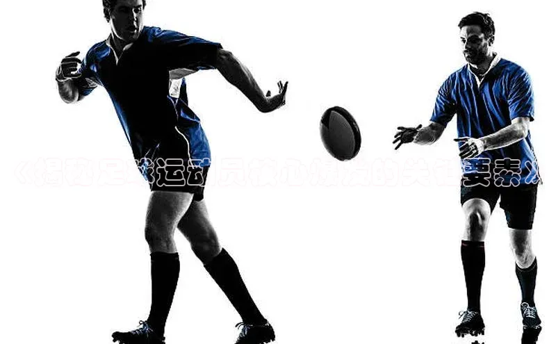 伟德bv1946官方网站华扬联众《揭秘足球运动员核心爆发的关键要素》