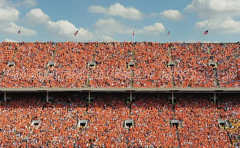 betvlctor网页版登录光魔科技《欣赏精美足球运动场简笔画，感受体育之美》