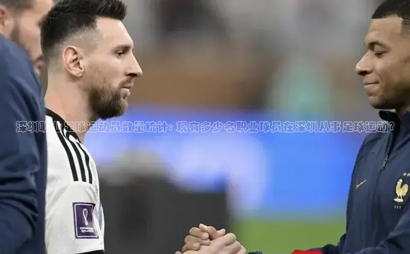 伟德BETVLCTOR网页版百度网盘深圳职业足球运动员数量统计: 现有多少名职业球员在深圳从事足球运动?