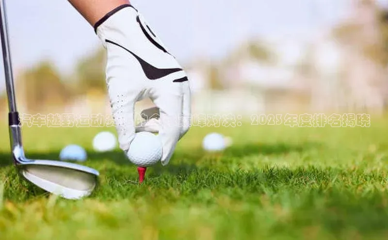 伟德BETVlCTOR1946官方网站京东汽车越野运动赛事的全球巅峰对决：2023年度排名揭晓