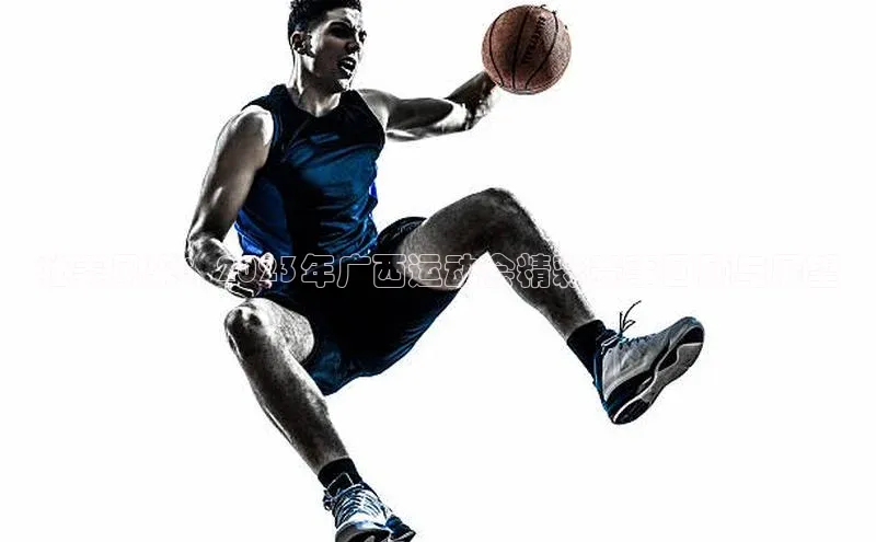 BETVLCTOR官方网站皮阿诺壮美风采：2023年广西运动会精彩赛事回顾与展望