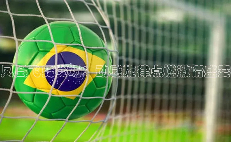 凤凰飞舞赛场：动感旋律点燃激情盛宴