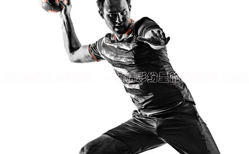 从纽约的体育狂欢：一场精彩纷呈的运动赛事全景