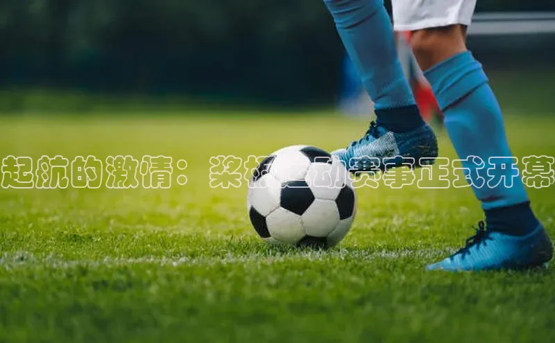 起航的激情：桨板运动赛事正式开幕