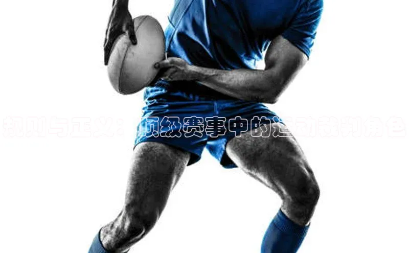 规则与正义：顶级赛事中的运动裁判角色