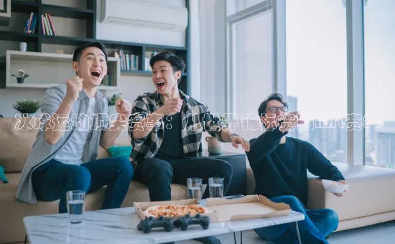 冰球运动顶尖赛事：从世界锦标赛到NHL赛季