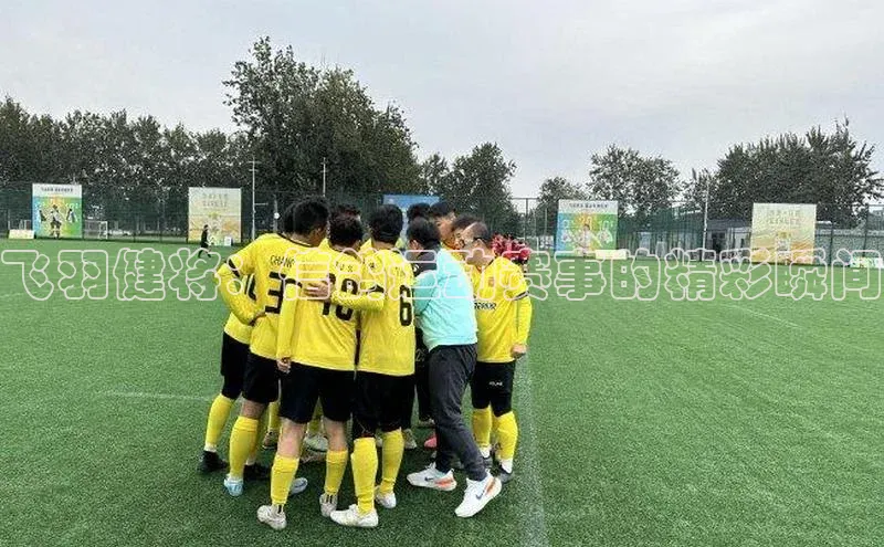 飞羽健将：信鸽运动赛事的精彩瞬间