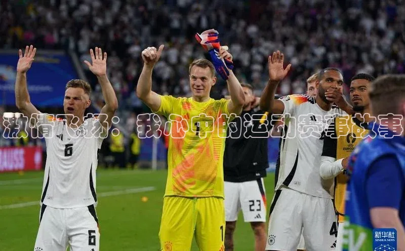 激情飞扬：我心中的运动赛事故事