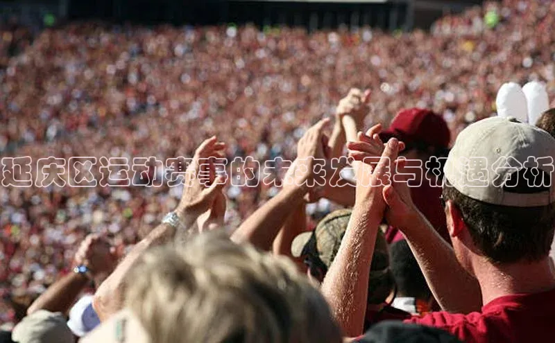 延庆区运动赛事的未来发展与机遇分析