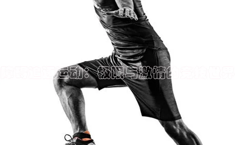 障碍追逐运动：极限与激情的竞技世界