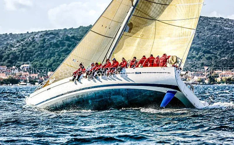 银龄风采：辽宁老年运动会网球赛事精彩回顾