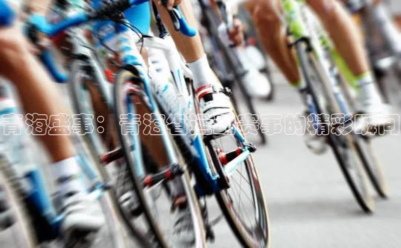 青海盛事：青海省运动赛事的精彩瞬间