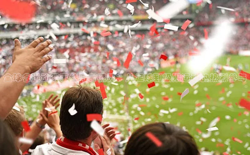 全球各运动赛事参与者概览：从足球到极限运动的热烈参与