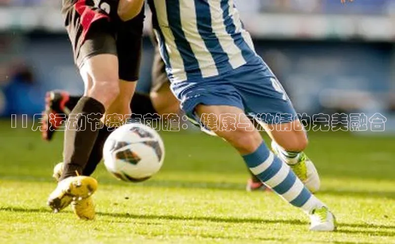 11月运动节赛事前瞻：健康与激情的完美融合