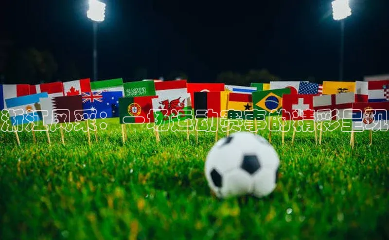 浙江风采：一场运动赛事的精彩呈现