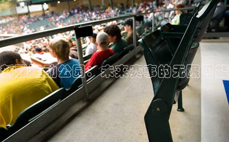 新雅运动公园：未来赛事的无限可能