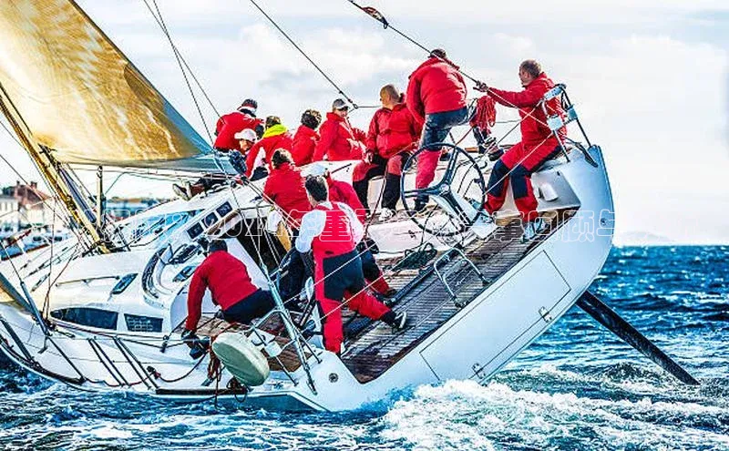 突破极限：2024年重要运动赛事回顾与分析