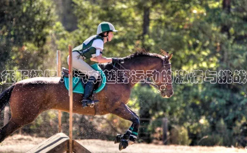 伟德国际官网登录入口